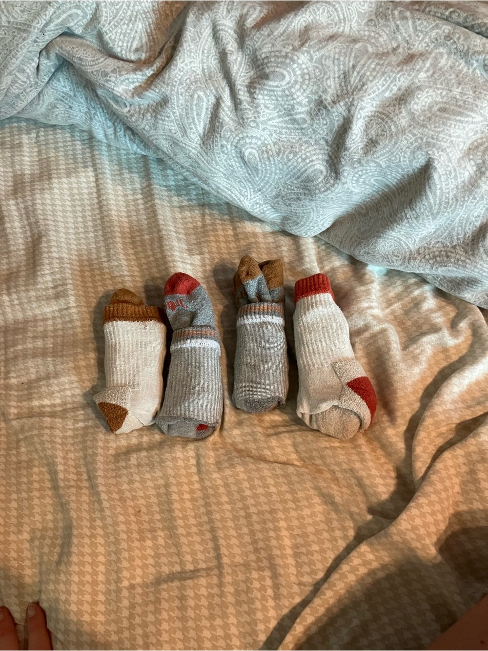 Timberland Men's Crew Socks in Beige, Gray & Red Accents